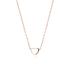 Choker argint placat cu aur roz cu inima DiAmanti Z1784NRG-DIA (Argint 925‰ 2 g.)